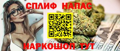 амф Моздок